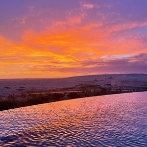 Swap with whimsidiculous 🤗